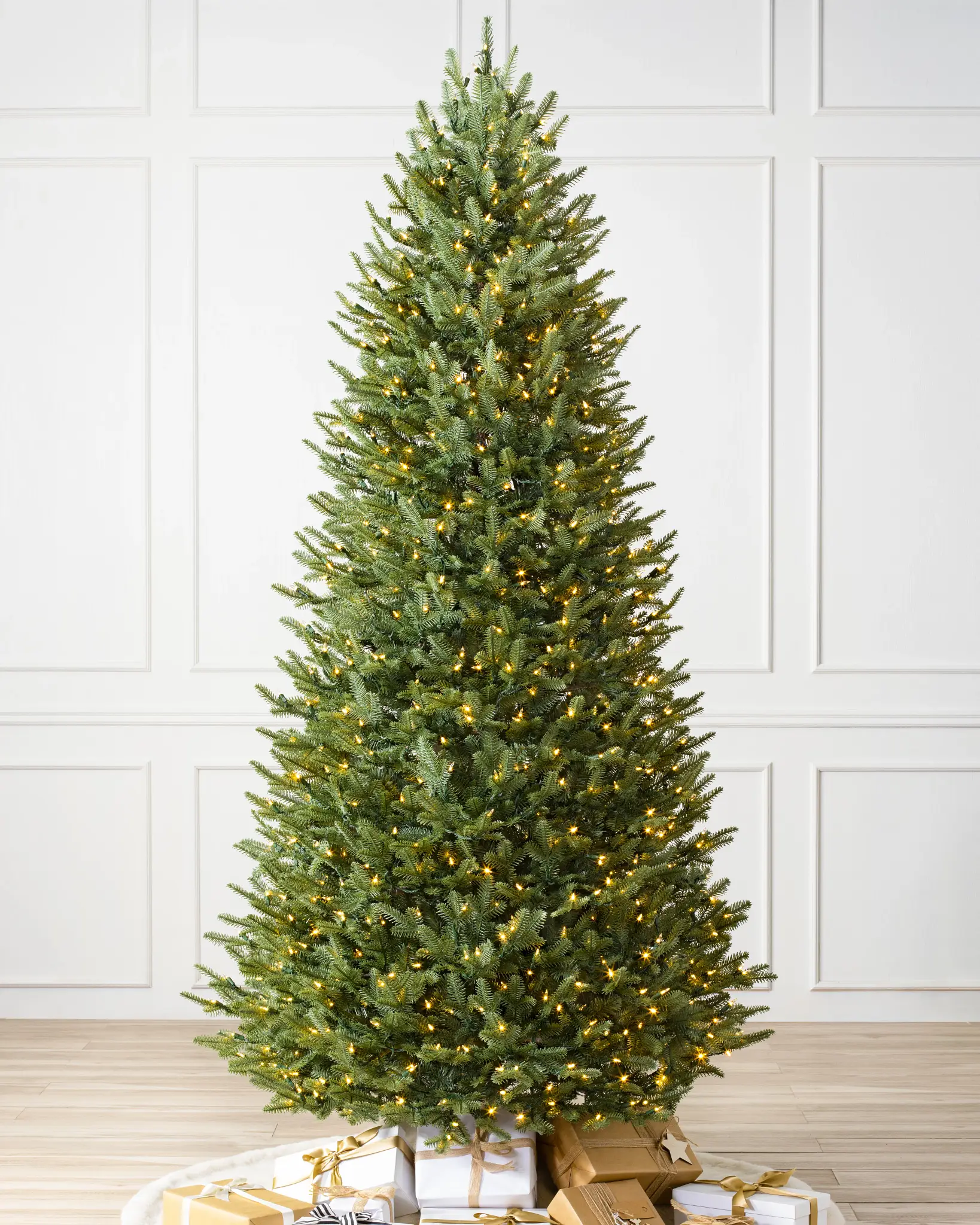 BH Balsam Fir Narrow Tree