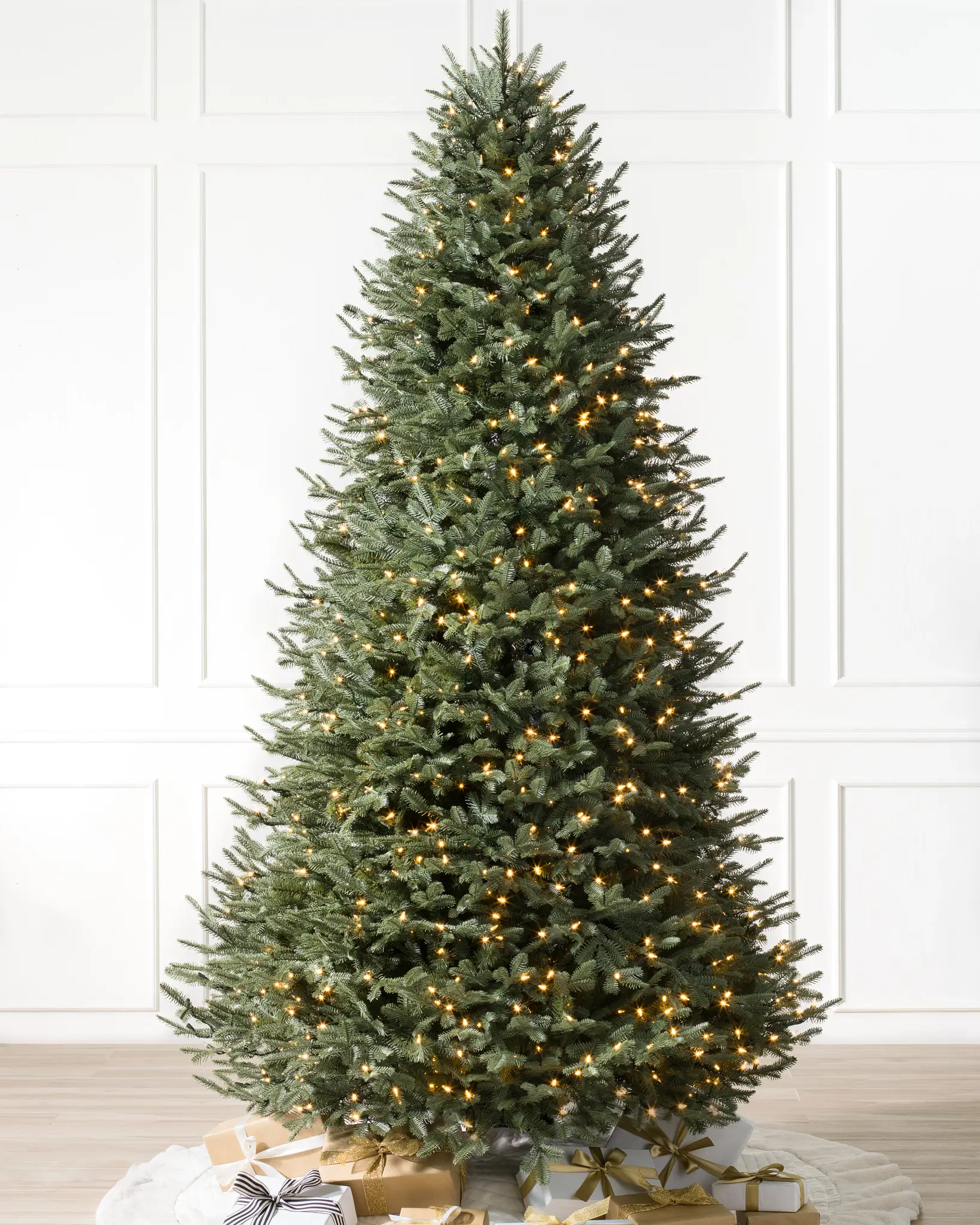 BH Balsam Fir Narrow Tree